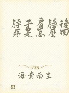 脖子肩膀后背都疼是怎么回事