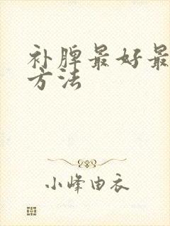 补脾最好最快的方法