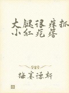 大腿很痒抓完长小红疙瘩