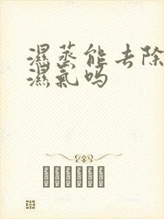 湿蒸能去除体内湿气吗