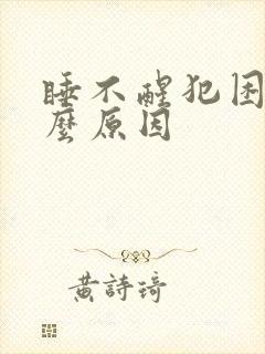 睡不醒犯困是什么原因