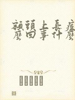 额头上长痘痘怎么回事什么原因