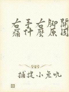 右手右脚关节疼痛什么原因引起的封面