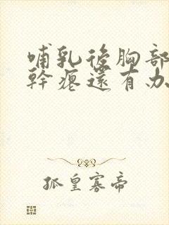 哺乳后胸部下垂干瘪还有办法改善吗