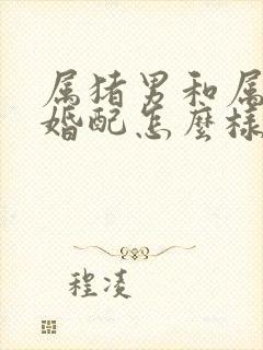 属猪男和属龙女婚配怎么样