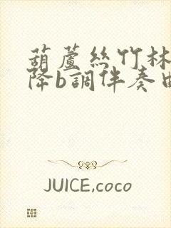 葫芦丝竹林深处降b调伴奏曲