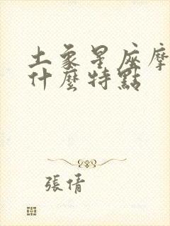 土象星座摩羯有什么特点封面