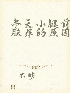 冬天小腿前面皮肤痒的原因封面