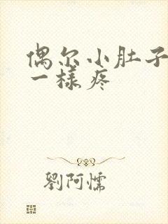 偶尔小肚子针扎一样疼封面