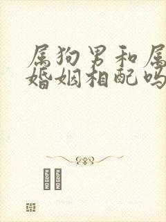 属狗男和属羊女婚姻相配吗封面