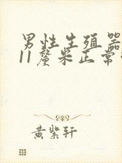 男性生殖器勃起11厘米正常吗