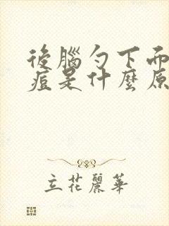 后脑勺下面起痘痘是什么原因