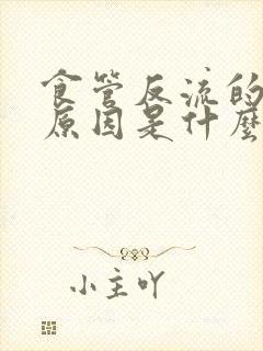 食管反流的主要原因是什么