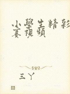 小学生精彩辩论赛视频