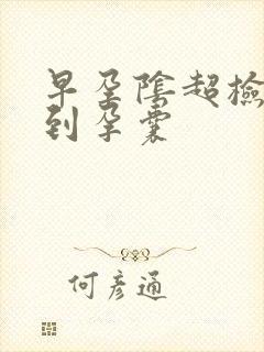 早孕阴超检查不到孕囊