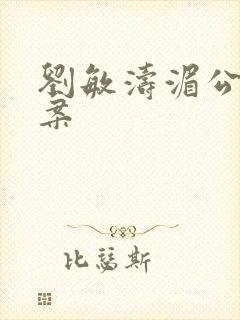 刘敏涛湄公河大案