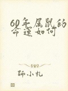 60年属鼠的人命运如何