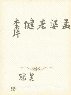 李健老婆孟蕾照片