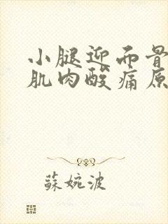 小腿迎面骨外侧肌肉酸痛原因封面