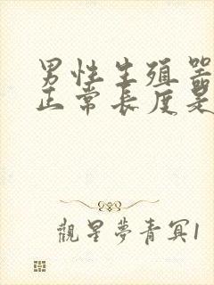 男性生殖器勃起正常长度是多少封面