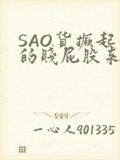 SAO货撅起你的贱屁股来