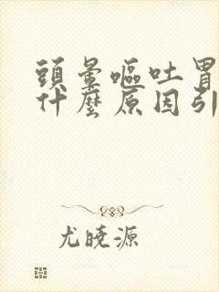 头晕呕吐胃疼是什么原因引起的封面