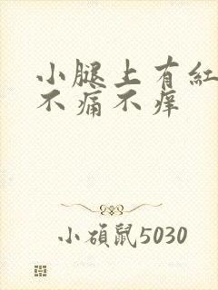 小腿上有红点点不痛不痒