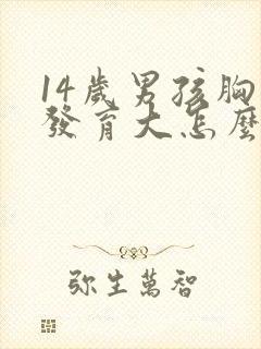 14岁男孩胸部发育大怎么回事