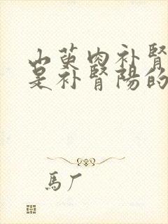 山萸肉补肾阴还是补肾阳的