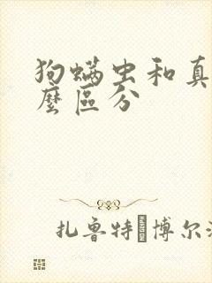 狗螨虫和真菌怎么区分