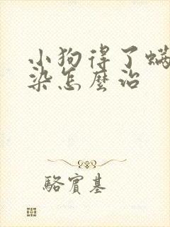 小狗得了螨虫感染怎么治