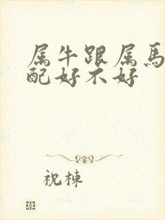 属牛跟属马的婚配好不好