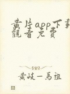 黄片app下载观看免费