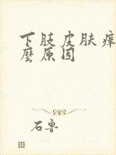 下肢皮肤痒是什么原因