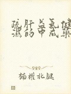 疏肝益气健脾祛湿的中成药