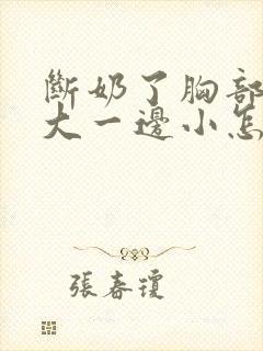 断奶了胸部一边大一边小怎么办封面