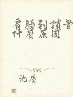 肩膀到锁骨疼痛什么原因