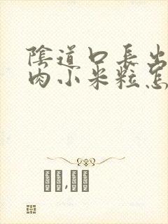 阴道口长出好多肉小米粒怎么回事