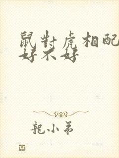 鼠对虎相配婚姻好不好