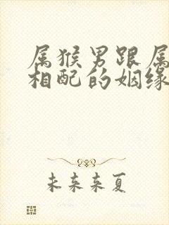 属猴男跟属狗女相配的姻缘好吗