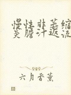 慢性非萎缩性胃炎胆汁返流