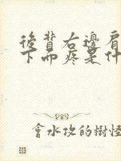 后背右边肩胛骨下面疼是什么原因