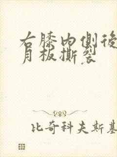 右膝内侧后角半月板撕裂封面