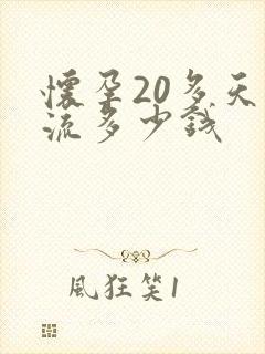 怀孕20多天药流多少钱