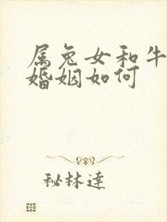 属兔女和牛相配婚姻如何