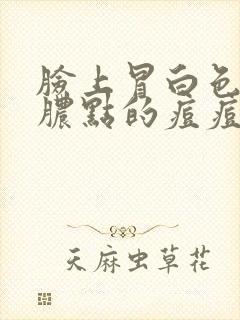 脸上冒白色的小脓点的痘痘