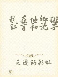 我在他乡挺好的许言和沈子畅结局