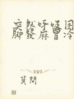 突然呼吸困难手脚发麻冒冷汗