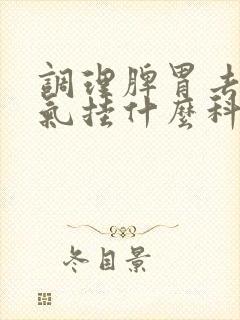 调理脾胃去除湿气挂什么科