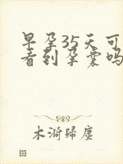 早孕35天可以看到孕囊吗封面